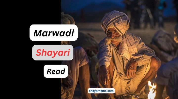 marwadi shayari