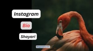 instagram bio shayari